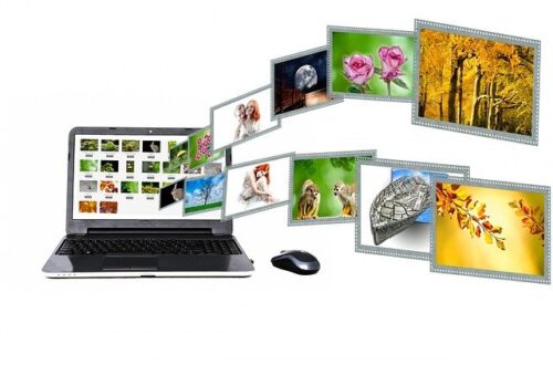 Best Image Search Engines: How to Search an image online
