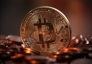 elon musk crypto