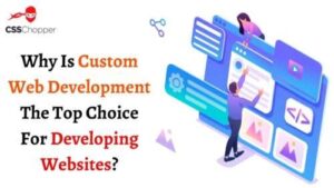 Custom Web Development