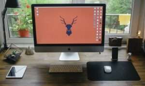 Work from Home gadgets
