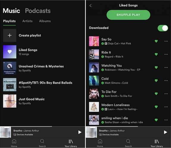 how to download music from spotify