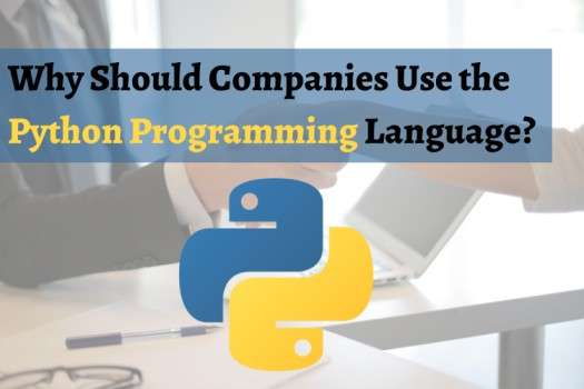 Why Should Companies Use the Python Programming Language?
