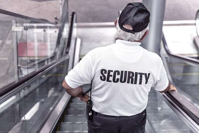 Tips to Successfully Organize an Event With Event Security