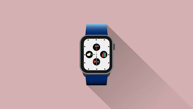 Apple Watch Walkie Talkie Not working