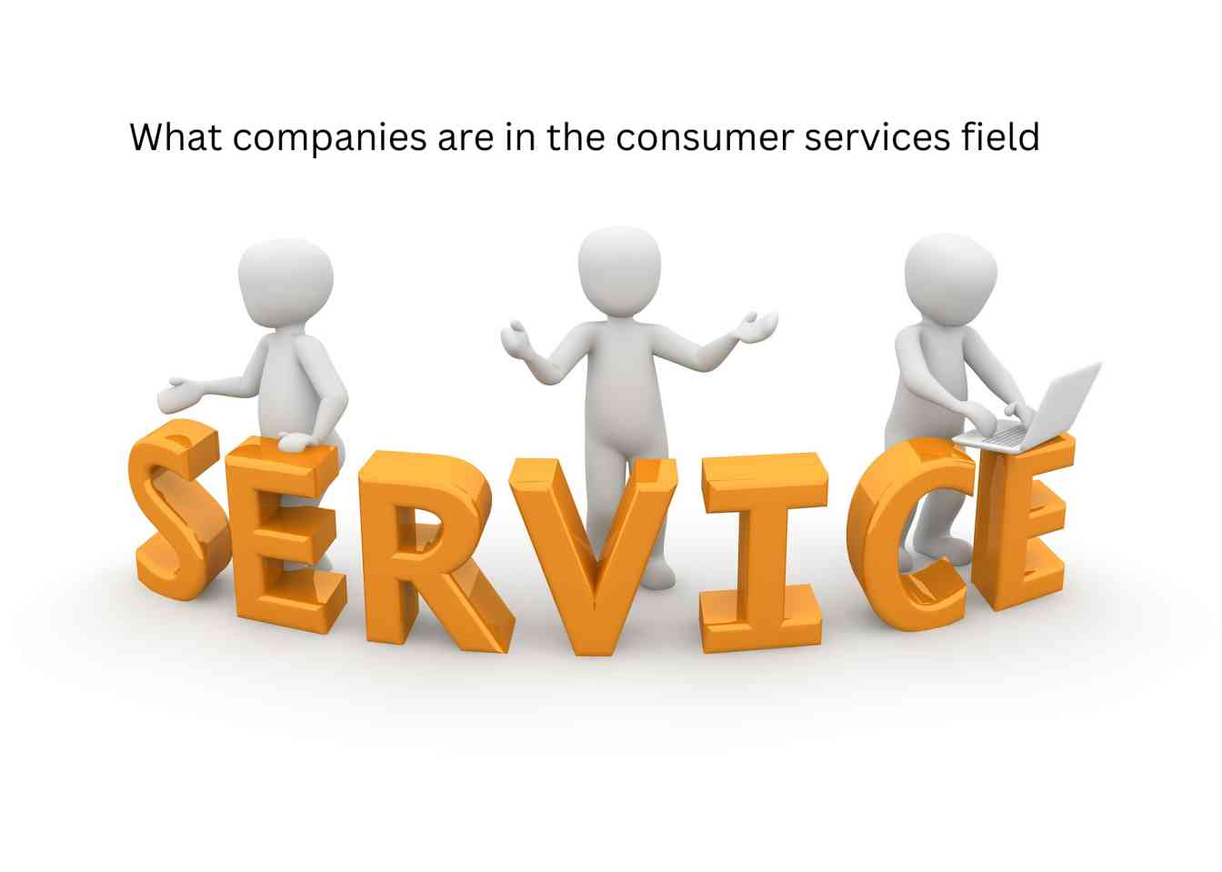 What companies are in the consumer services field