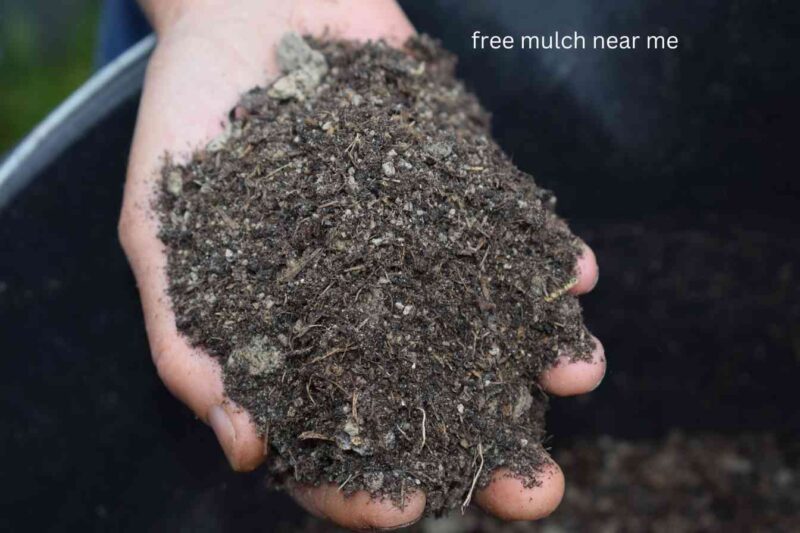 bulk mulch near me