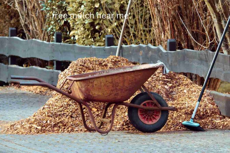 bulk mulch near me