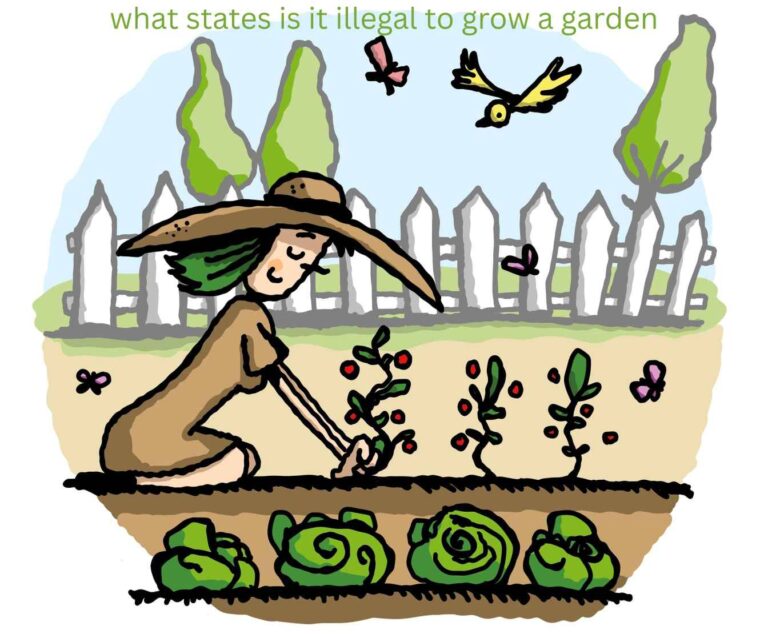What States Is It Illegal to Grow a Garden