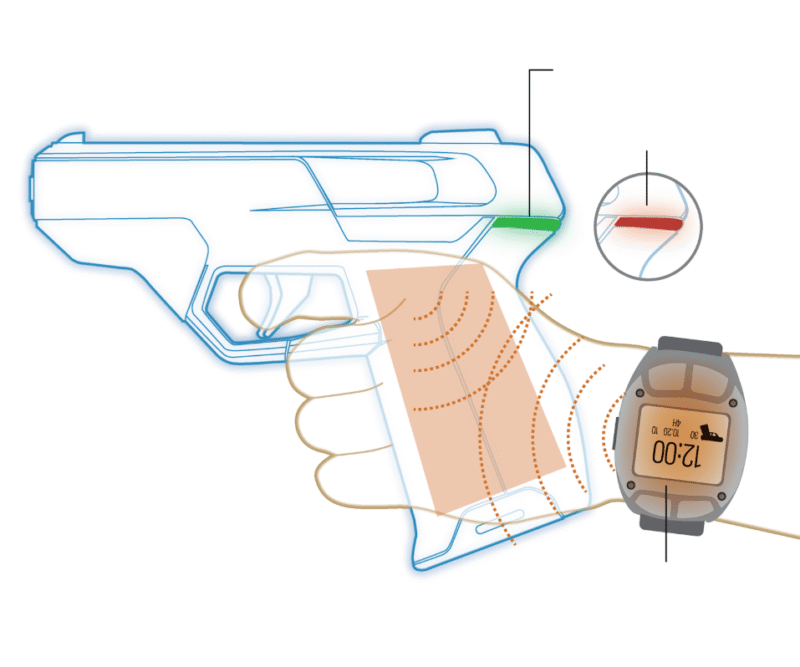 What Are Smartguns