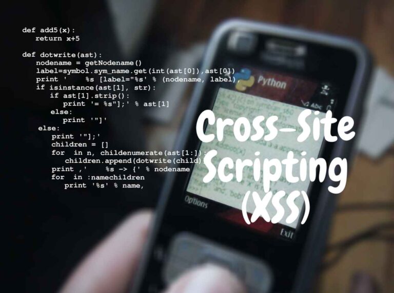 Cross-Site Scripting (XSS)
