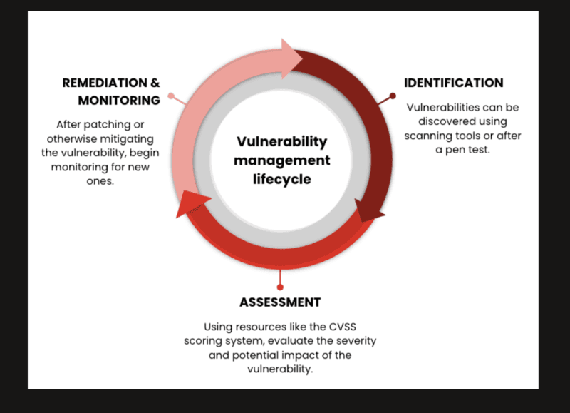 Dependency Scanning & Vulnerable Component Detection