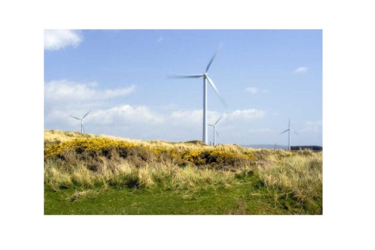 The Future of Renewable Energy