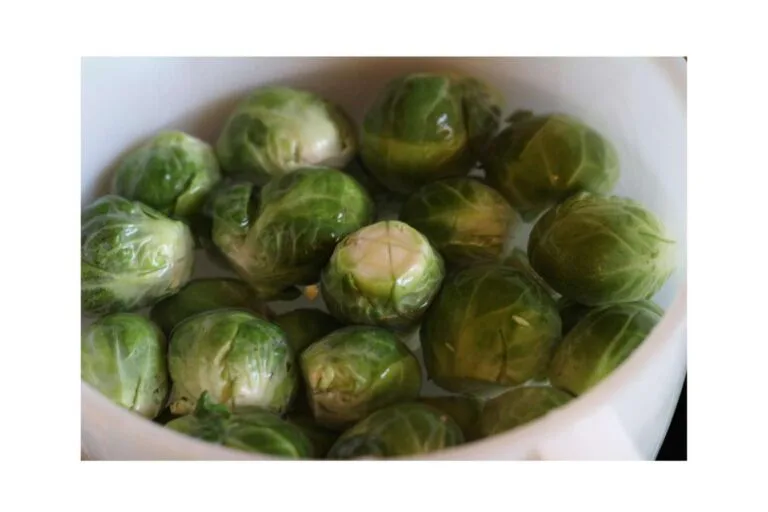 Cyclospora Contaminated Produce Outbreak