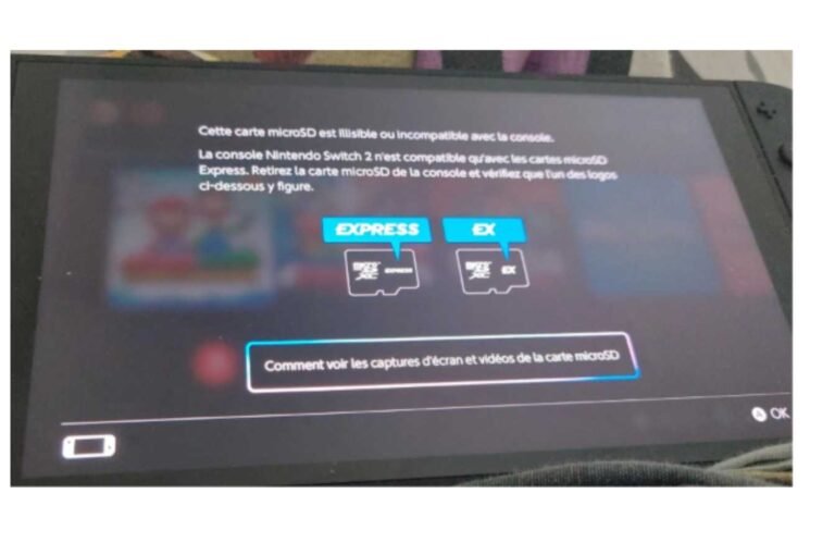 Nintendo Switch 2 SD card requirements